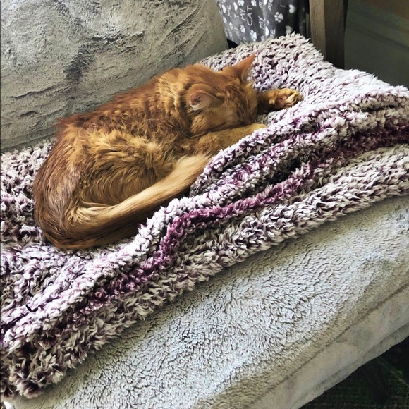 Meet The Buyer/Seller☺️ connect with me 💗 - Picture 12 of 13